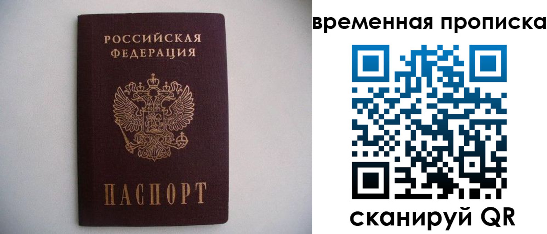 прописка для работы в Апатитах